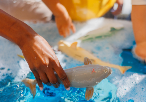 summer camps in downtown Miami